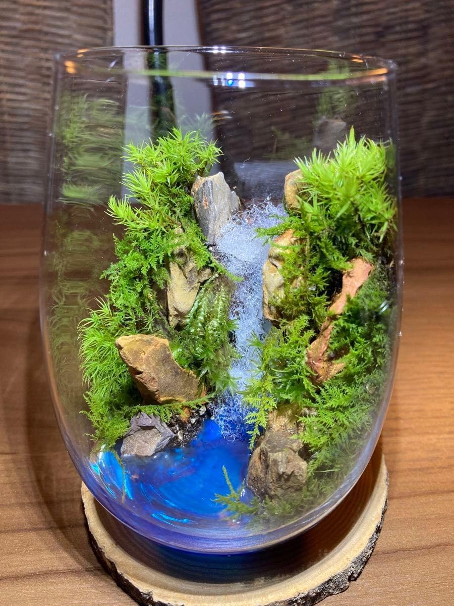 【完成品】滝の流れるアクアテラリウム　イモリウム　苔　水槽　苔アート アクアテラリウム完成品 イモリウム 苔テラリウム 滝のあるアクア